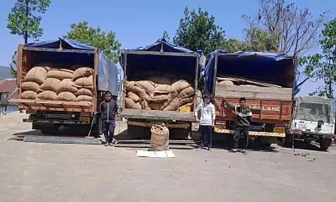 Areca nut valued at Rs 31.73 crore seized in 100 days in Northeast