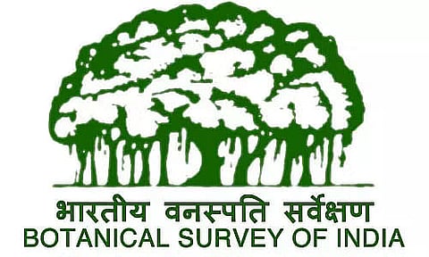 BSI Recruitment 2023 - Research Associate Vacancy, Job Opening