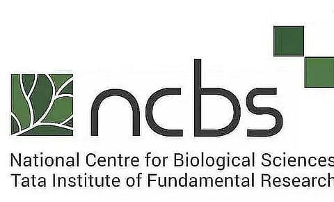 NCBS Recruitment 2023 - Scientific Officer D Vacancy, Latest Job Openings
