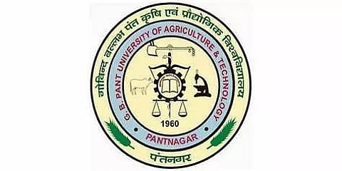 GBPUAT Recruitment 2023 - Research Fellow Vacancy, Job Openings