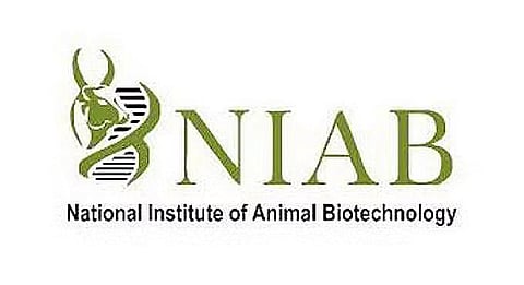 NIAB Recruitment 2023 - Project Associate, Field Worker Vacancy, Job Opening