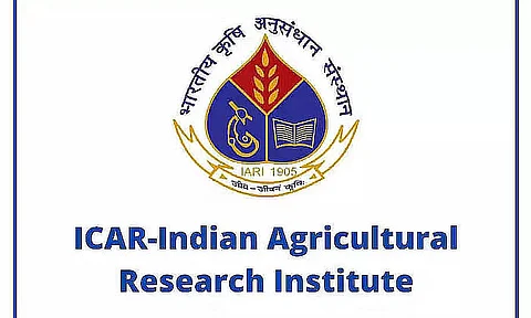 IARI Recruitment 2023- Young Professional-I Vacancy, Job Opening
