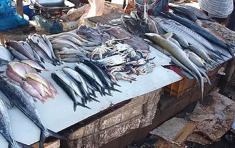 Nalbari district unit of AJYCP submits memorandum against toxic fish supply