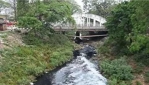 Gauhati High Court Issues Notice to Assam Govt Regarding Contamination of Bharalu River