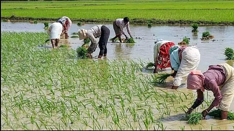 Two Pradhan Mantri Krishi Sinchayee Yojana (PMKSY) phases completed in Assam