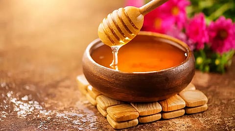 Honey production potential in Northeast