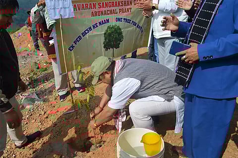 Miao town launches tree plantation drive