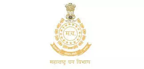 Maha Forest Recruitment 2023 – Accountant and Tally Operator Vacancy, Job Opening.