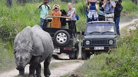 Kaziranga National Park