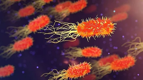 AI Helps Identify New Antibiotic That Can Take Out One of Three Top ‘Superbugs’