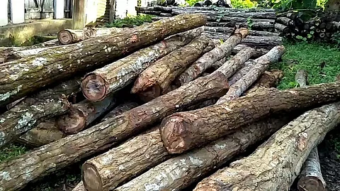 Assam: Forest Dept Official Killed, 3 Critically Injured in Timber Smuggling Clash in Goalpara
