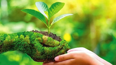 World Environment Day: Encroachment paints a gloomy picture