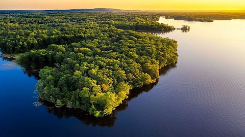 Buddhism and environmentalism: How NE’s monastic communities are championing green initiatives