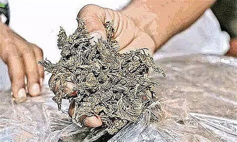 Guwahati: Ganja worth Rs 3 lakh seized at Kamakhya Railway Station