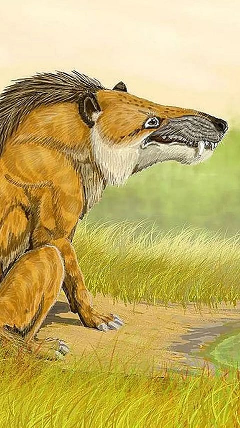 Most Dangerous Prehistoric Mammals