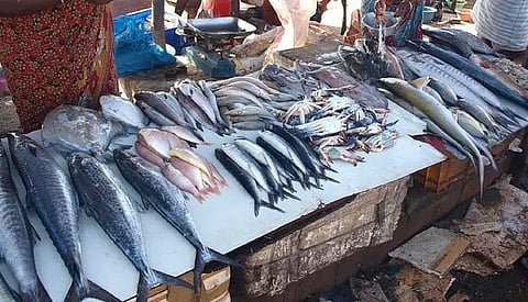 Lakhimpur District Police, Fishery Department Personnel Conduct Raid at Fish Market
