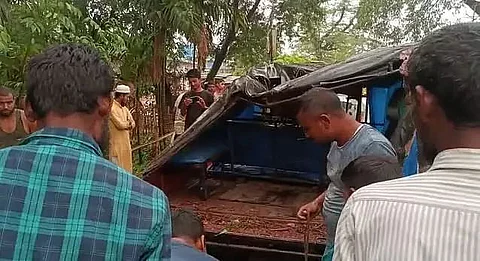 Assam: 5 People Escape Narrowly as Tree Collapses in the Middle of Busy Road