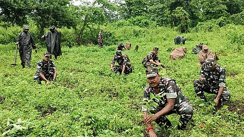 Mega plantation drive held by 31st Battalion SSB Gossaigaon