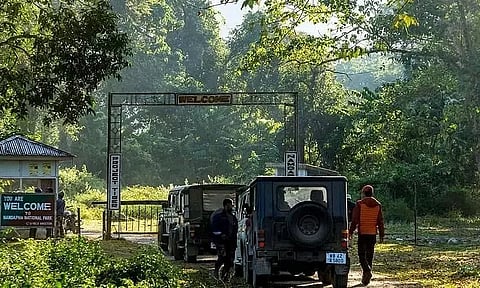 Splendid wilderness of Namdapha National Park in Arunachal Pradesh