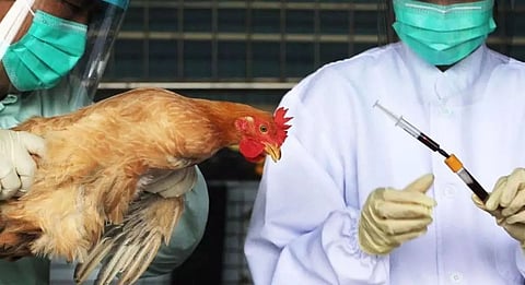 Gene preventing bird flu virus found from spreading to humans: Study