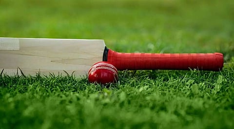 Summer Cricket Camp