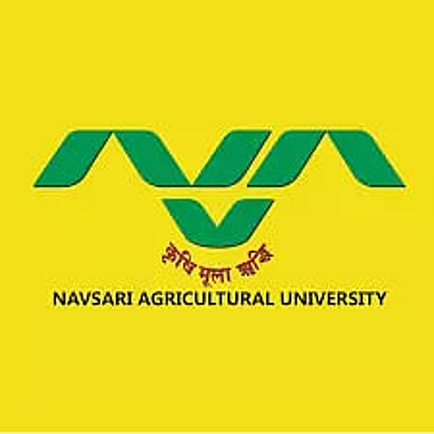 Navsari Agricultural University Recruitment 2023 – Junior Research Fellow Vacancy, Job Opening