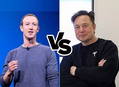 Mark Zuckerberg-Elon Musk begin online battle before cage fight