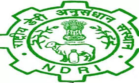 NDRI Recruitment 2023 – Young Professional -II, Research Associate Vacancy, Job Opening