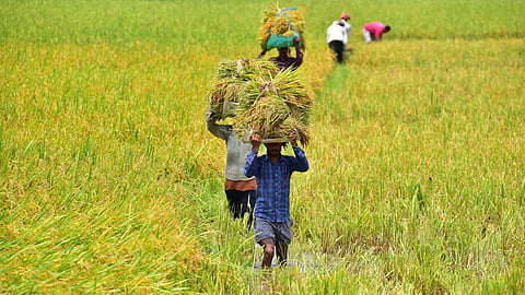 Now, central forces playing key role to help farmers in Manipur