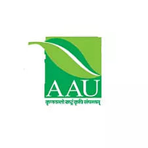 AAU Recruitment 2023 – Research Associate Vacancy, Job Opening
