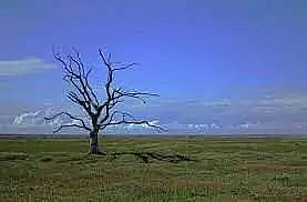 Call to G20 leaders to triple renewable, double energy efficiency targets: COP28 Presidency