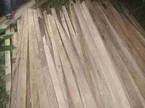 Assam: Forest Officials Seize Timber in West Karbi Anglong