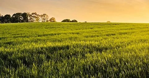 Affordability hurdle in farm mechanization