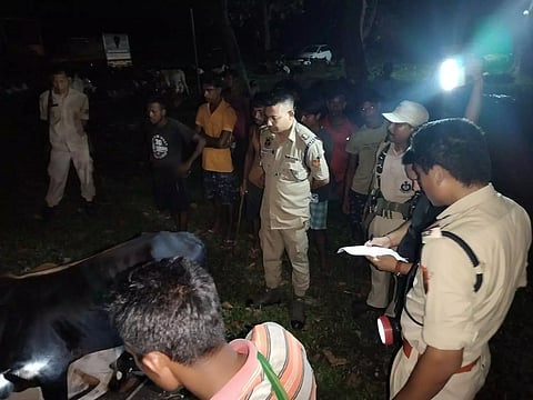 Assam: Cattle seized; 8 arrested in Biswanath