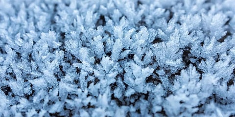 Time-travelling pathogens in melting permafrost may pose risk to humans
