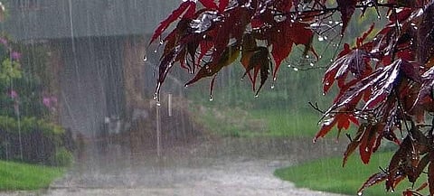 Assam, NE States To Experience Heavy Rainfall Over The Next Five Days