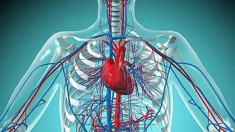 Heart Attacks on the Rise Among Youth: Causes and Precautions