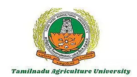 TNAU Recruitment 2023 – Senior Research Fellow vacancy, Job opening