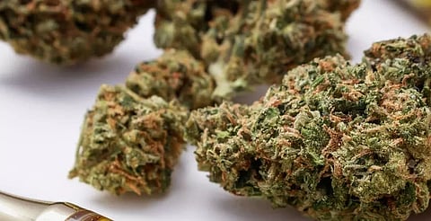 Ganja seized at Kamakhya Railway Station, two apprehended