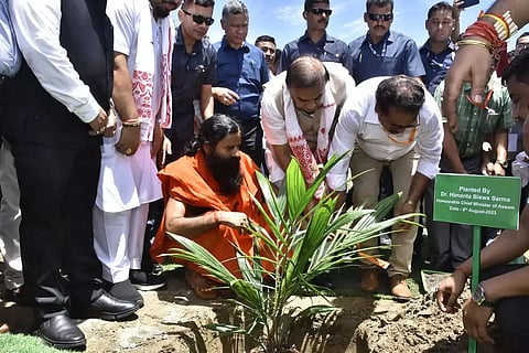 Revolutionising agro-economy: Assam’s bold step in oil palm plantation