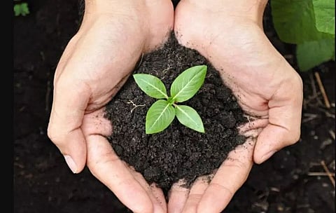 38th battalion of Shastra Seema Bal plants 756 saplings in Arunachal Pradesh