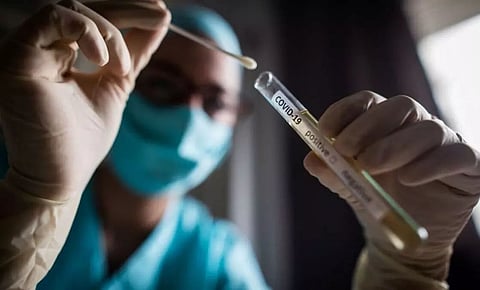 India logs 23 new Covid cases in the last 24 hours