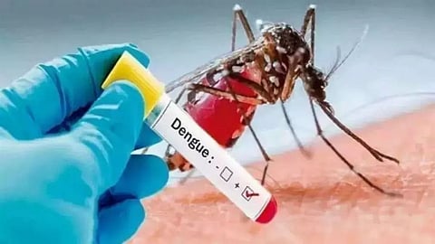 dengue
