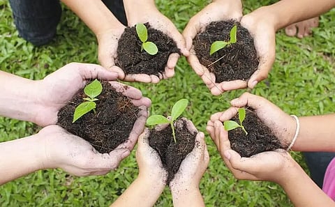 SBI organizes tree plantation activity at Assam Don Bosco University