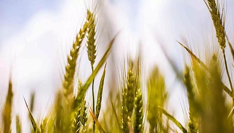 State-level Agri Expo-cum-Kisan Mela organized in Arunachal