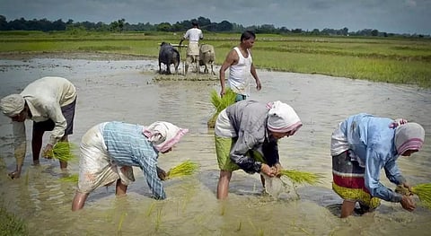 Krisarthak – an ARIAS Society initiative to counsel farmers