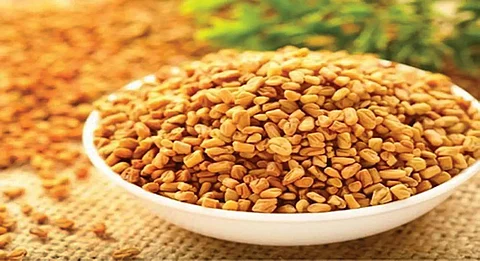Benefits of fenugreek seeds for hair