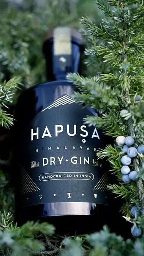 Best Made in India Gins you Must Try