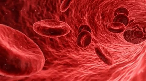 RBCs exposed to oxygen deficiency protect against heart attack: Study