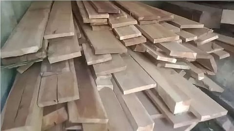 Assam: Forest Department Recovers Teak Wood From Miscreants